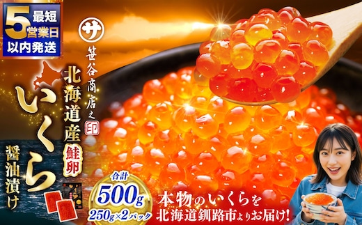 笹谷商店 北海道産いくらしょう油漬500g(250g×2パック入り) ふるさと納税 いくら