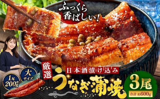 うなぎ蒲焼 200g×3尾セット 職人 手焼き 真空 冷凍 北海道 ウナギ 鰻 かばやき