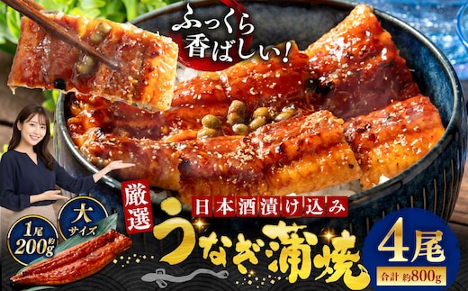 うなぎ蒲焼 200g×4尾セット 職人 手焼き 真空 冷凍 北海道 ウナギ 鰻 かばやき