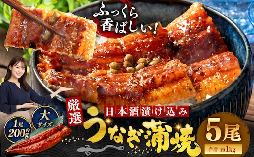 うなぎ蒲焼 200g×5尾セット 職人 手焼き 真空 冷凍 北海道 ウナギ 鰻 かばやき
