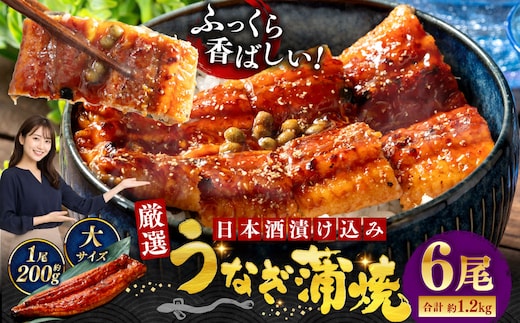 うなぎ蒲焼 200g×6尾セット 職人 手焼き 真空 冷凍 北海道 ウナギ 鰻 かばやき