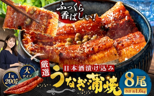 うなぎ蒲焼 200g×8尾セット 職人 手焼き 真空 冷凍 北海道 ウナギ 鰻 かばやき