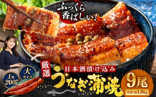 うなぎ蒲焼 200g×9尾セット 職人 手焼き 真空 冷凍 北海道 ウナギ 鰻 かばやき