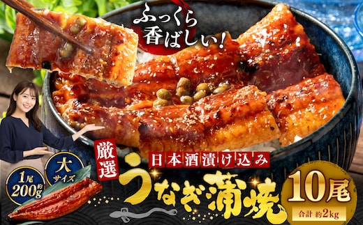 うなぎ蒲焼 200g×10尾セット 職人 手焼き 真空 冷凍 北海道 ウナギ 鰻 かばやき