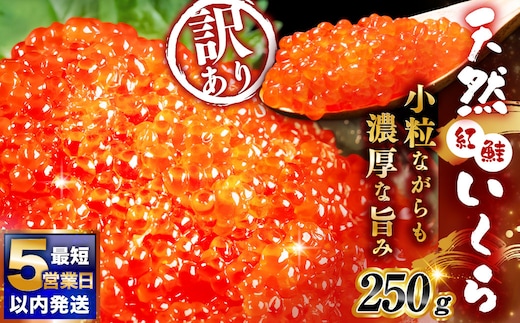 7月発送 紅鮭いくら醤油漬け 250g 冷凍 年末年始 いくら 鮭いくら ご飯のお供 ご飯 米 北海道 釧路市