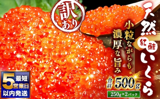 6月発送 紅鮭いくら醤油漬け 500g（250g×2） 冷凍 年末年始 いくら 鮭いくら ご飯のお供 ご飯 米 北海道 釧路市