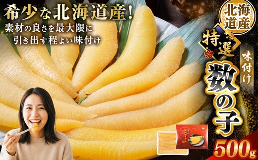 通常発送 【釧路加工】【北海道産】 マルア阿部商店特選 味付け数の子 500g 数の子 味付け かずのこ カズノコ 味付け数の子 冷凍 グルメ 食べ物 魚介 海産 厳選 ご飯のお供 酒のあて 北海道 釧路市