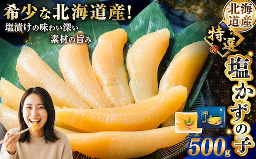 北海道産 塩数の子 500g ふるさと納税 魚卵 マルア阿部商店特選 厳選 塩漬け 冷蔵 グルメ 食べ物 つまみ おつまみ お祝い お取り寄せ にしん ニシン 魚介 海産 海の幸 ご飯のお供 酒のあて 北海道 釧路市