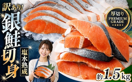 【 訳あり 】 プレミアムグレード 塩水熟成 厚切り 銀鮭切身 約1.5kg 銀鮭 鮭 サケ さけ シャケ 魚介 魚介類 魚 魚類 海鮮 おかず 晩酌 小分け 冷凍