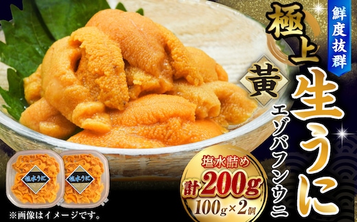 【鮮度抜群！特選・極上えぞバフンうに【黄】】塩水詰め100g×2個 ふるさと納税 うに F4F-0467
