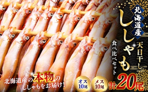 【オスメス食べ比べ】北海道産・ししゃもセット ふるさと納税 ししゃも F4F-3597