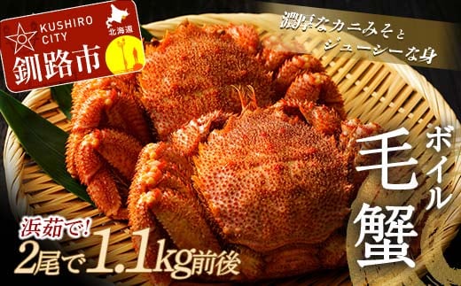 【浜茹で！】ボイル毛がに 2尾で900g前後 （北海道産/加工地 釧路） ふるさと納税 かに 蟹 F4F-5339