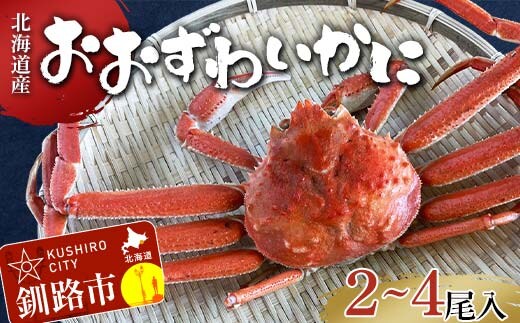 (訳あり)北海道産・おおずわいかに(茹でたて・未冷凍)2～4尾入 カニ ズワイガニ 蟹 楚蟹 ずわいガニ ずわい蟹 冷蔵 ボイル 海産物 F4F-8030