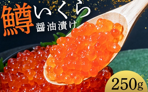 鱒いくら醤油漬け 250g パック 小分け 海鮮 魚介 グルメ 魚卵 人気 ご飯のお供 ごはん 米 いくら丼 ギフト 年末年始 北海道 釧路市 F5F-0174