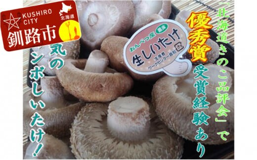 北海道音別産 菌床ジャンボ生しいたけ 280g×2パック しいたけ 椎茸 きのこ 肉厚 菌床しいたけ F4F-0800