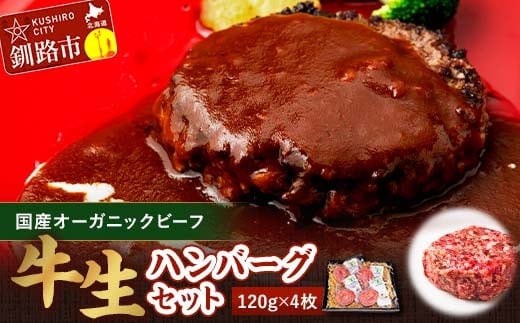 釧路生まれ、釧路育ちのオーガニックビーフ 生ハンバーグ120g×4枚 ふるさと納税 肉 F4F-3373
