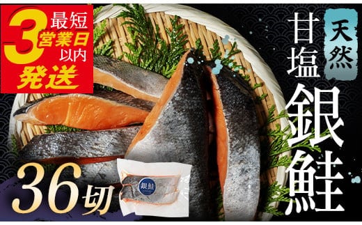 銀鮭 3切×12パック 計36切れ 朝ごはんやお弁当に 銀鮭 36切れ 真空保存 甘塩 銀鮭 鮭 しゃけ サケ さけ ご飯のお供 朝食 真空 朝食 お弁当 おかず 小分け 大容量 F4F-2843