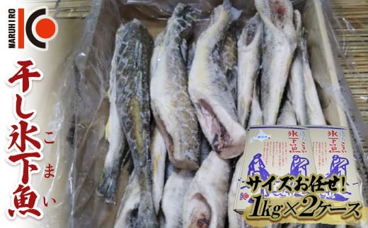 干し氷下魚(サイズお任せ)1kg×2ケース こまい コマイ 魚 白身魚 おつまみ 肴 おかず F4F-2597
