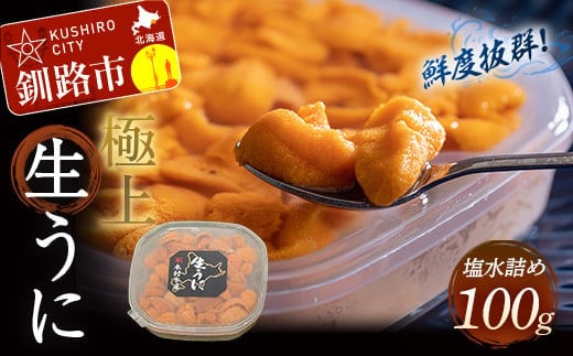【鮮度抜群！極上生ウニ】生うに塩水詰め100g ふるさと納税 うに F4F-3208