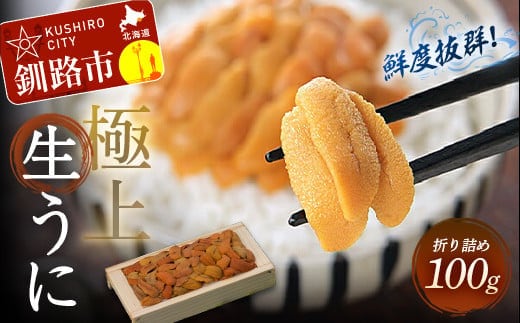 【鮮度抜群！極上生ウニ】生うに折100g ふるさと納税 うに 生うに 新鮮 F4F-3209