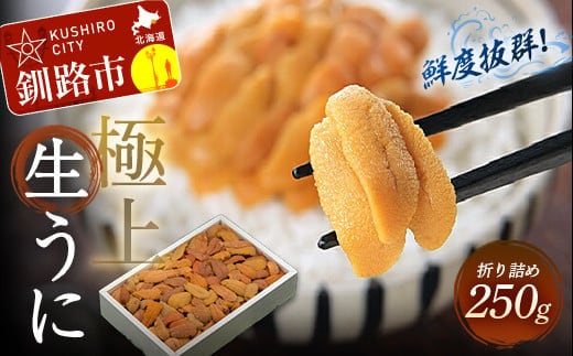 【鮮度抜群！極上生えぞバフンうに】生うに折250g ふるさと納税 うに F4F-3210