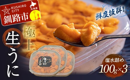 生うに塩水詰め100g×3【鮮度抜群！極上生えぞバフンうに】 ふるさと納税 うに F4F-3214