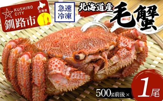 北海道産毛蟹500g前後×1尾 北海道 カニ 毛ガニ 毛蟹 かに かに味噌 急速冷凍 活蟹 活毛蟹 活毛ガニ F4F-8638