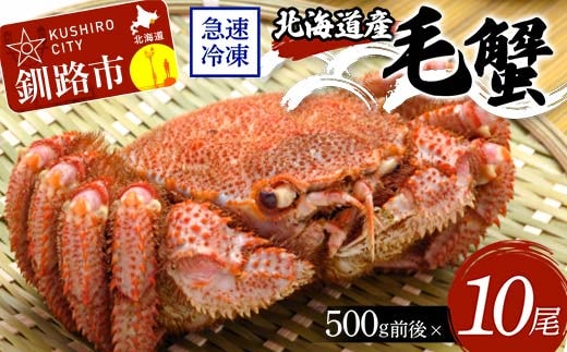北海道産毛蟹500g前後×10尾 北海道 カニ 毛ガニ 毛蟹 かに かに味噌 急速冷凍 活蟹 活毛蟹 活毛ガニ F4F-8643