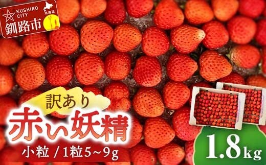 【 訳あり 】赤い妖精 1.8kg(小粒 1粒5～9g) 夏いちご 規格外にて訳あり イチゴ 夏イチゴ 果物 苺 いちご 夏 スィーツ ケーキ フルーツ 北海道 規格外 F4F-4624