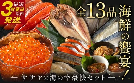 まるごと堪能！ 新物 北海道産 ササヤの『海の幸豪快セット』 全13品 海の幸 いくら たらこ 明太子 鮭 ほっけ かれい いかの塩辛 さば 銀だら さんま F4F-8922