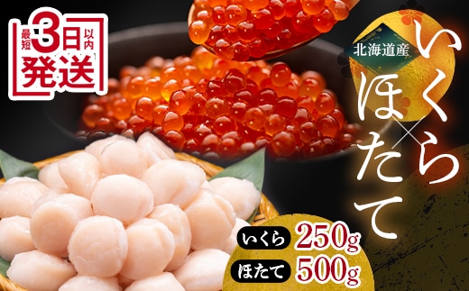 笹谷商店 新物 北海道産いくら醤油漬け250g＆北海道産ほたて貝柱500g ふるさと納税 海鮮 F4F-8918