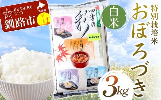 特別栽培米おぼろづき 3kg 白米 北海道産 米 コメ こめ お米 白米 玄米 通常発送 F4F-9844