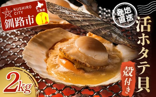 【北海道から直送!!】殻付活ホタテ貝（2.0kg詰）5～10枚入 ふるさと納税 ほたて F5F-0121