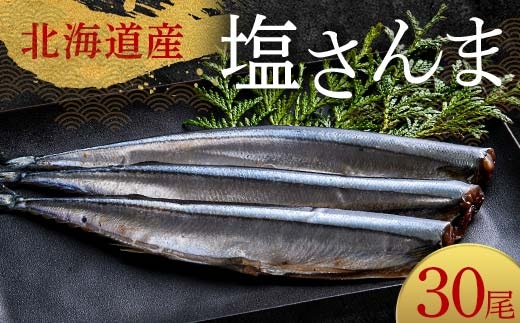 極上塩さんま30尾 3尾ごとの真空保存 さんま 焼き魚 魚 海鮮 鮮魚 北海道 ご当地グルメ 漬け魚 F4F-8107