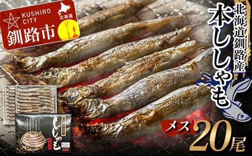 本ししゃも メス20尾 釧路産 本ししゃも 魚 ししゃも プチプチたまごのメス 魚介 グルメ シシャモ 北海道産 国産 魚 魚介 海の幸 F4F-8436