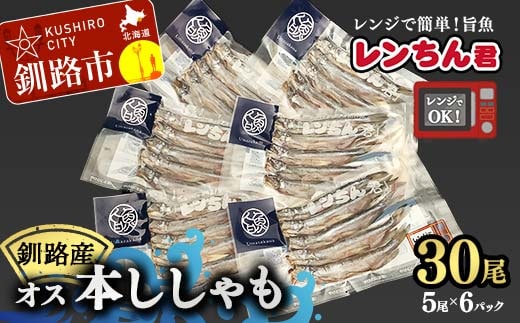 レンちん君釧路産本しゃもオス30尾セット シシャモ 冷凍 魚 海産物 一夜干し 北海道 F4F-8445