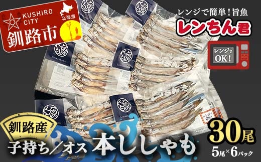 レンちん君釧路産本ししゃもセット シシャモ 冷凍 魚 海産物 一夜干し 北海道 F4F-8446