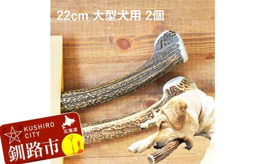 エゾ鹿の角ガム 22cm 大型犬用 2個 北海道産 国産 無添加 犬用ガム 天然鹿角 長持ち デンタルケア ペット おやつ F5F-0067