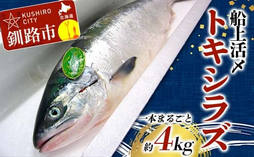 トキシラズ 約4kg 鮭 サケ 魚 トキシラズ 生鮮 北海道 釧路市 F5F-0111