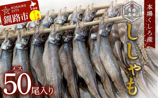 【期間限定！寄附額改定↓！】本場くしろ産 ししゃもメス50尾入り！ 本ししゃも 魚 ししゃも 魚好きのメス プチプチたまごのメス 魚介 グルメ シシャモ 北海道産 国産 魚 魚介 海の幸 F5F-0138