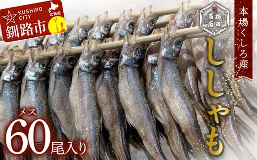【期間限定！寄附額改定↓！】本場くしろ産 ししゃもメス60尾入り！ 本ししゃも 魚 ししゃも 魚好きのメス プチプチたまごのメス 魚介 グルメ シシャモ 北海道産 国産 魚 魚介 海の幸 F5F-0139