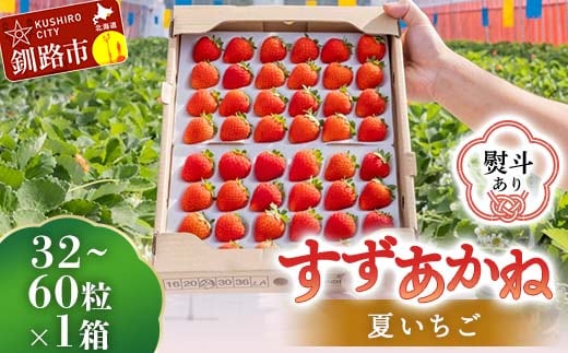 【期間限定！寄附額改定↓！】＜無地熨斗あり＞2026年先行予約 北海道産いちご すずあかね 32～60粒×1箱 【2026年6月末から順次発送】 夏いちご イチゴ 苺 フルーツ 果物 ジャム スイーツ 贈答用 ギフト 国産 北海道 釧路市 F5F-0197