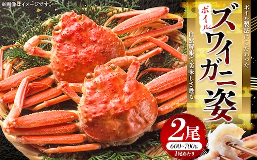 ボイルずわいかに姿 600～700g×2尾 ふるさと納税 かに 蟹 F4F-2143