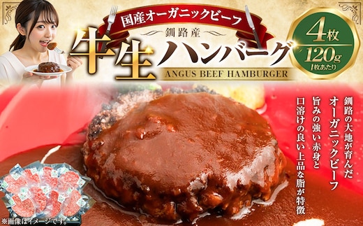 釧路生まれ、釧路育ちのオーガニックビーフ 生ハンバーグ120g×4枚 ふるさと納税 肉 F4F-3373