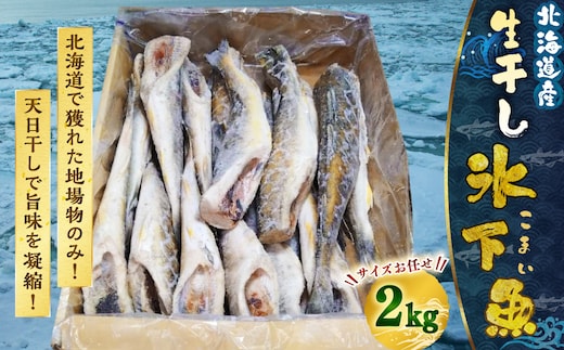 干し氷下魚(サイズお任せ)1kg×2ケース こまい コマイ 魚 白身魚 おつまみ 肴 おかず F4F-2597