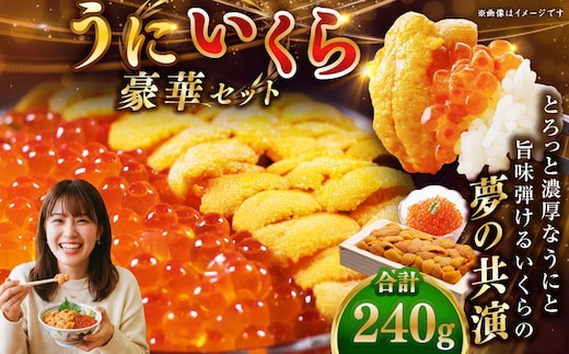 えぞバフンうに折150g×1 いくら醤油漬け90g×1 北海道 釧路 ふるさと納税 うに いくら 雲丹 魚卵 魚介類 海産物 セット 詰合せ 詰め合わせ F4F-8830