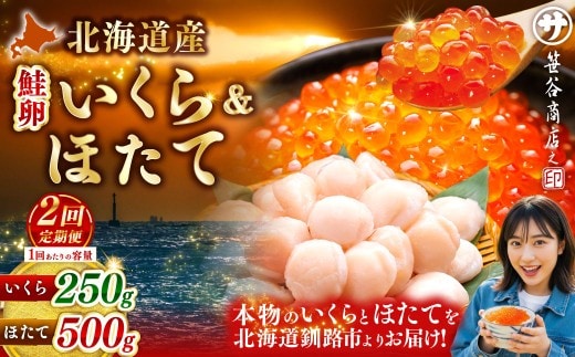 【2ヶ月定期便】 笹谷商店 新物 北海道産 いくら醤油漬け250g&ほたて貝柱500g お刺身 国産 イクラ イクラ醤油漬け 鮭いくら 鮭卵 ほたて貝柱 帆立 ホタテ ほたて 海鮮丼 詰め合わせ 海鮮 魚介 冷凍 グルメ 北海道 釧路市