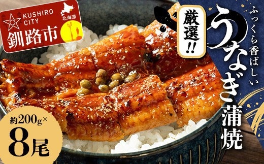 うなぎ蒲焼 200g×8尾セット 職人 手焼き 真空 冷凍 北海道 ウナギ 鰻 かばやき