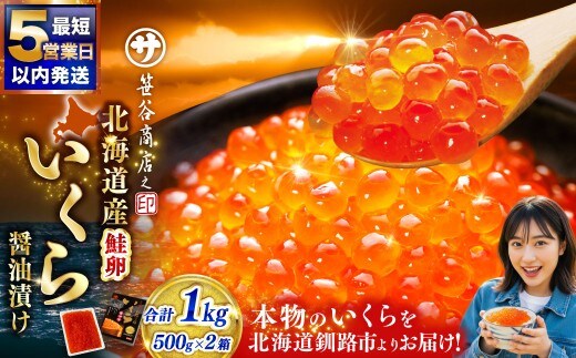 いくら 500g × 2箱 合計1000g 魚卵 醤油漬け 冷凍 海産物 魚介類 ご飯のお供 海鮮 海鮮丼 国産 北海道産 いくら醤油漬 【 決済から7日程度で発送 】