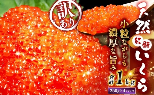 【先行予約】 新物 天然紅鮭いくら 醤油漬け 1kg ( 250g × 4 ) 【2026年11月以降順次発送】 いくら イクラ 海鮮 天然紅鮭 魚卵 卵 イクラ丼 いくら丼 手巻き寿司 小粒 魚介類 魚介 寿司 丼 冷凍 旨味